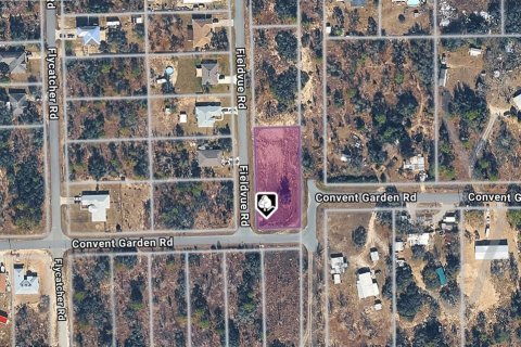 Land in Brooksville, Florida № 2162854