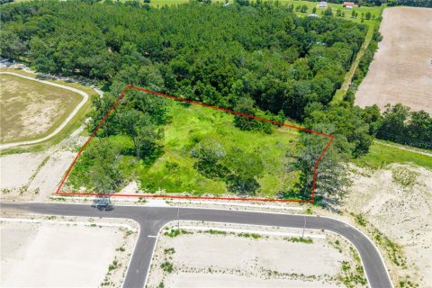 Купить коммерческую недвижимость в Ньюбери, Флорида 167.78м2, № 2221867 - фото 17
