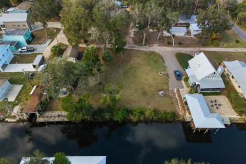 Terrain à Homosassa, Floride № 2101019