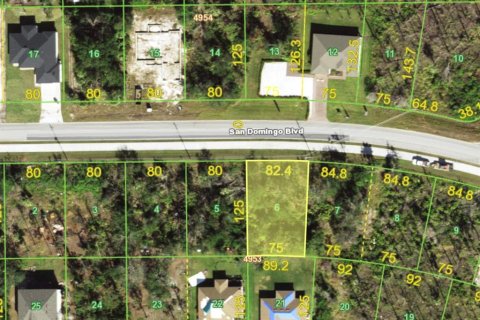 Land in Port Charlotte, Florida № 2160268 - photo 3