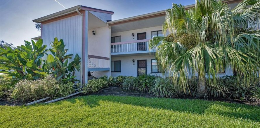 Кондоминиум с 5 комнатами в Олдсмар, Флорида № 1911837