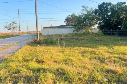 Land in Haines City, Florida № 1522318 - photo 9
