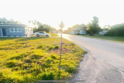 Land in Haines City, Florida № 1522318 - photo 6
