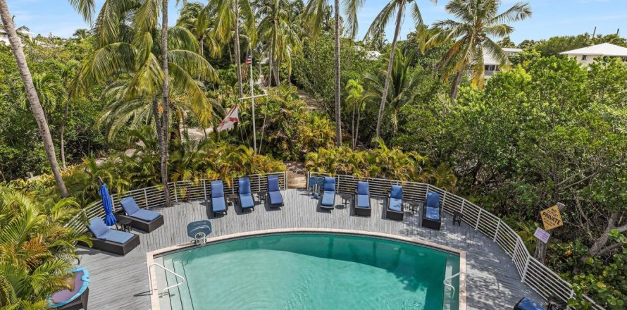 House in Islamorada, Village of Islands, Florida 7 bedrooms, 431.35 sq.m. № 777315