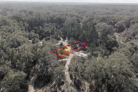 Land in Citra, Florida № 2162379 - photo 21