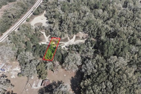 Land in Citra, Florida № 2162379 - photo 15