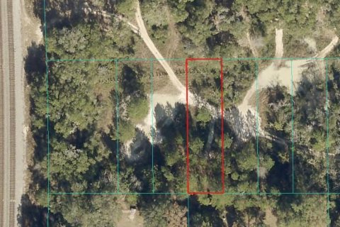 Land in Citra, Florida № 2162379 - photo 3