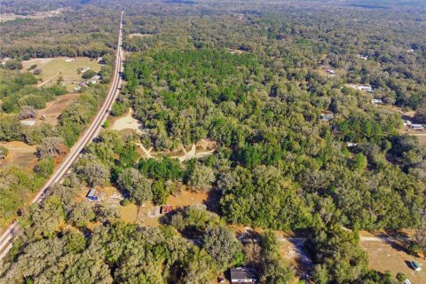 Land in Citra, Florida № 2162379 - photo 12
