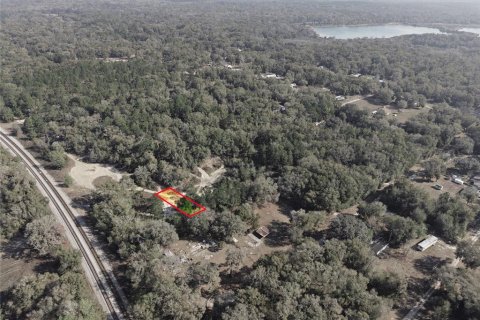 Land in Citra, Florida № 2162379 - photo 11