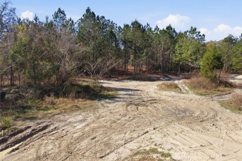 Land in Citra, Florida № 2162379 - photo 28