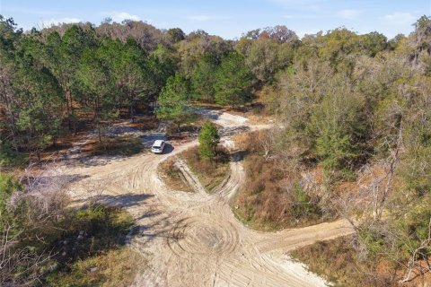 Land in Citra, Florida № 2162379 - photo 24