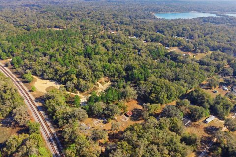 Land in Citra, Florida № 2162379 - photo 10