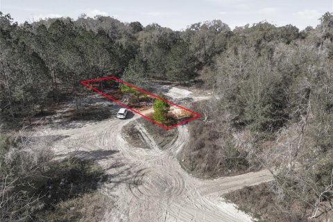 Land in Citra, Florida № 2162379 - photo 25