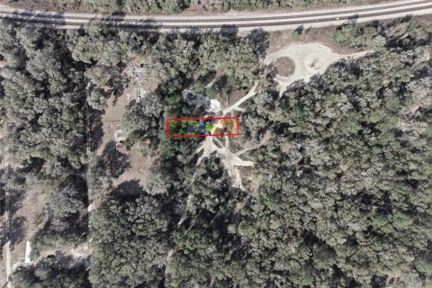 Land in Citra, Florida № 2162379