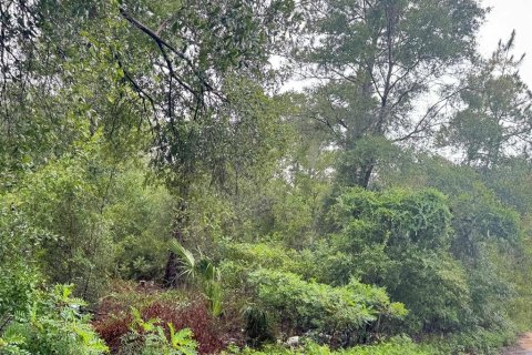 Land in Bronson, Florida № 2277083
