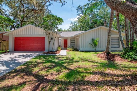 House in Brandon, Florida 4 bedrooms, 180.97 sq.m. № 1856128 - photo 1