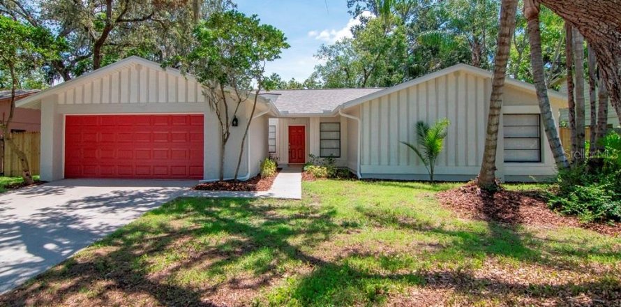 House in Brandon, Florida 4 bedrooms, 180.97 sq.m. № 1856128