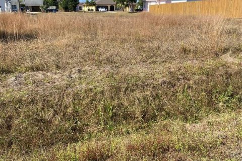 Land in North Port, Florida № 2160207 - photo 4