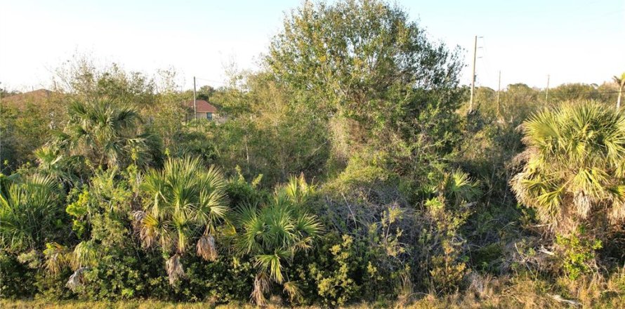 Land in Port Charlotte, Florida № 1514441
