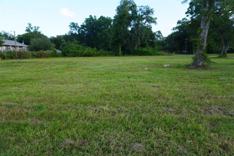 Terrain à vendre à Ocala, Floride № 1144082 - photo 2