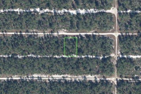 Terrain à Sebring, Floride № 2234942