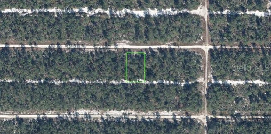 Terrain à Sebring, Floride № 2234942