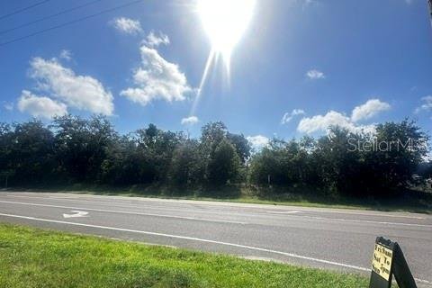 Terrain à CRESTVIEW à Tarpon Springs, Floride № 2402815
