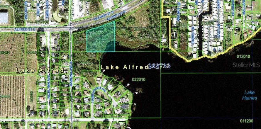 Terrain à Lake Alfred, Floride № 2221557