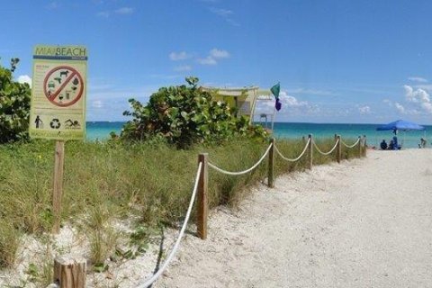 Снять в аренду квартиру в Майами-Бич, Флорида 41.06м2, № 2050111 - фото 27