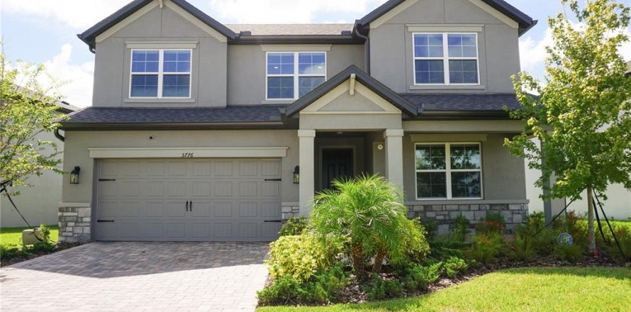 House in Wesley Chapel, Florida 4 bedrooms, 264.59 sq.m. № 1353671