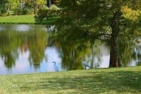 Casa en alquiler en Lakewood Ranch, Florida, 3 dormitorios, 192.59 m2 № 1913034 - foto 3