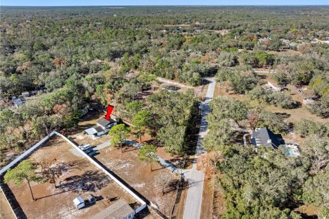 Купить виллу или дом в Спринг-Хилл, Флорида 10 комнат, 201.97м2, № 1734469 - фото 11