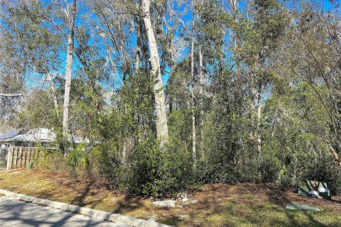 Land in Gainesville, Florida № 2215164