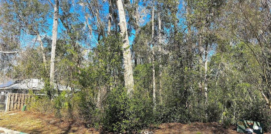 Terrain à Gainesville, Floride № 2215164
