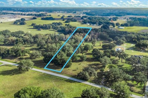 Land in Wildwood, Florida № 2239905