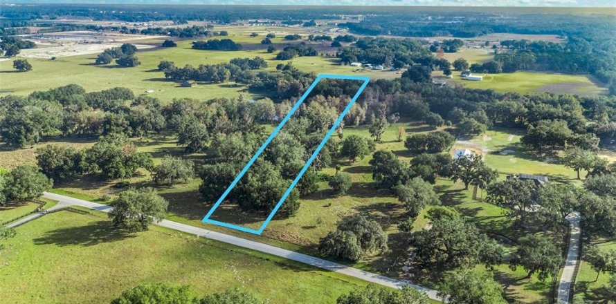 Land in Wildwood, Florida № 2239905