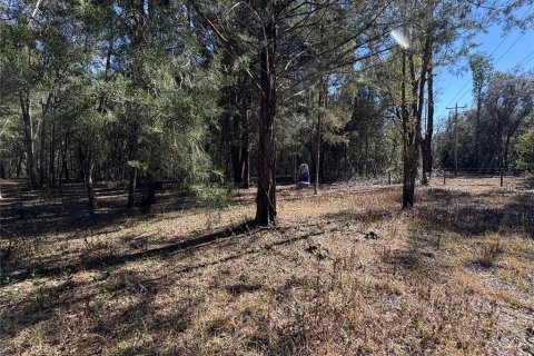 Купить виллу или дом в Гейнсвилл, Флорида 6 комнат, 102.19м2, № 2147434 - фото 15