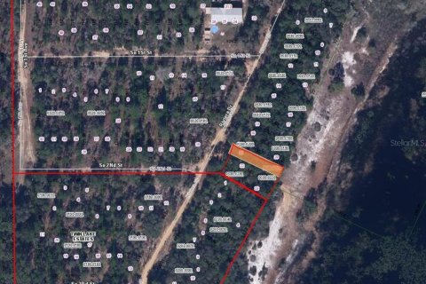 Land in Interlachen, Florida № 2165286 - photo 2