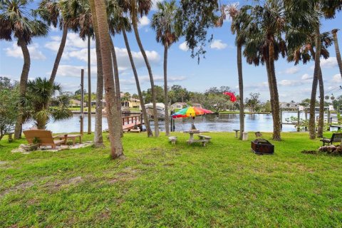 House in New Port Richey, Florida 4 bedrooms, 182.46 sq.m. № 1820638 - photo 13