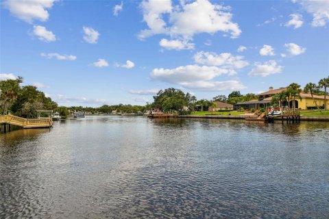 House in New Port Richey, Florida 4 bedrooms, 182.46 sq.m. № 1820638 - photo 15