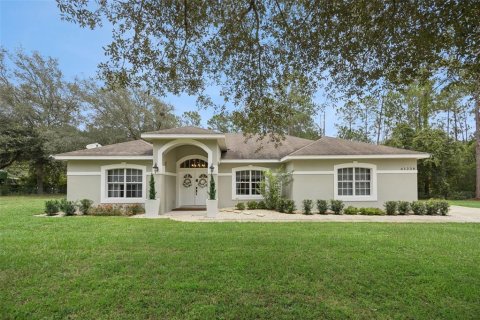 House in Eustis, Florida 3 bedrooms, 170.38 sq.m. № 2273154