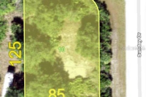 Land in Port Charlotte, Florida № 2158872 - photo 2