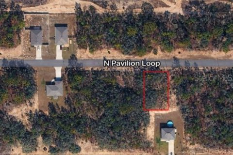 Land in Citrus Springs, Florida № 2163014