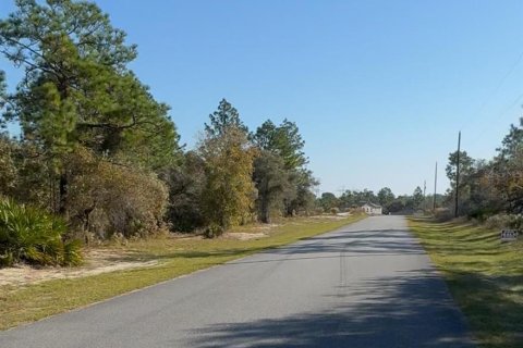 Land in Citrus Springs, Florida № 2163014 - photo 2