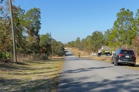 Land in Citrus Springs, Florida № 2163014 - photo 3