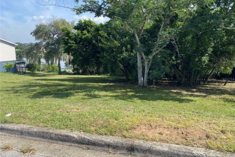 Land in Dundee, Florida № 2213715 - photo 2