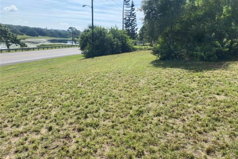 Land in Dundee, Florida № 2213715 - photo 3