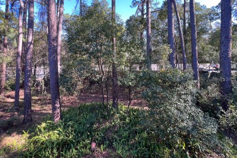 Adosado en alquiler en Gainesville, Florida, 2 dormitorios, 99.59 m2 № 1879392 - foto 19