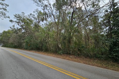 Land in Williston, Florida № 2162457 - photo 3