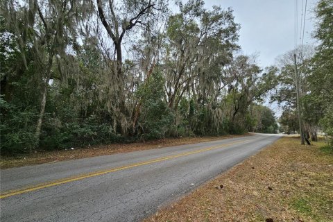 Land in Williston, Florida № 2162457 - photo 2